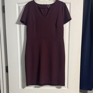 The Limited Deep Burgundy Mini Dress